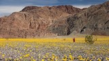 Vì sao Thung lũng Chết là nơi đặc biệt nhất thế giới? 